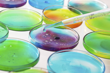 Laboratoire, Boîte de Petri - ensemencement