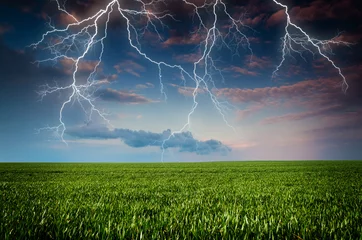 Fotobehang Onweer Thunderstorm with lightning in green meadow