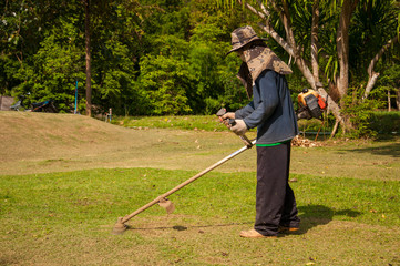 garden cutting grass by  hand motor in the park