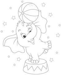 Little circus elephant juggling with a ball