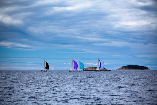 Fototapeta Yacht Regatta at the Adriatic Sea in windy weather