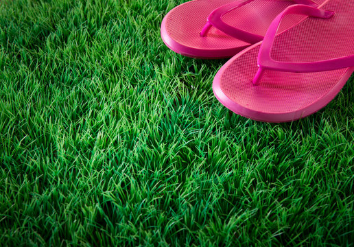 Flip flops on lush grass