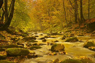 Autumn landscape mountain river