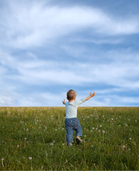 Naklejka na ściany i meble little boy in the meadow