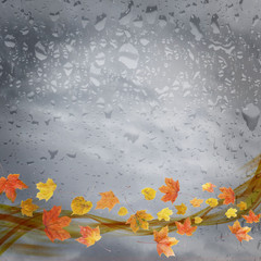 Fallen leaves and rain in the autumn