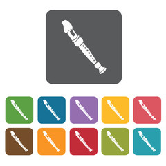 Flute icons set. Rectangle colourful 12 buttons. Vector illustra