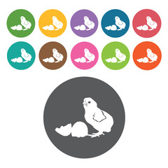Hatched chick icons set. Round colourful 12 buttons. Vector illu