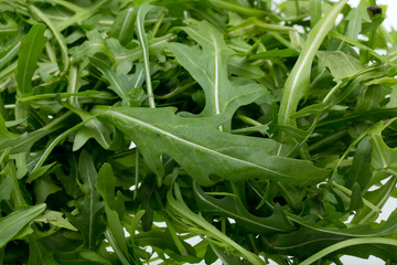Fototapeta premium Heap of ruccola leaves