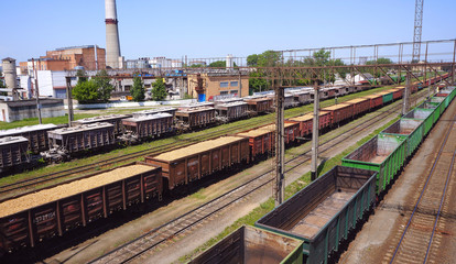 Fototapeta premium Trains