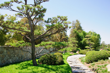 Fototapeta premium Beautiful view of Japanese Garden