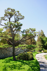 Beautiful view of Japanese Garden