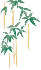 bamboo