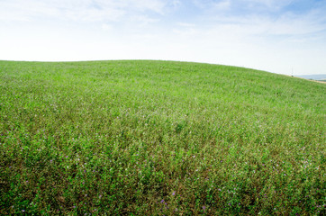 prairie toscane crete senesi