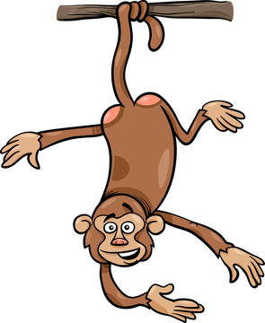 monkey on branch cartoon illustration