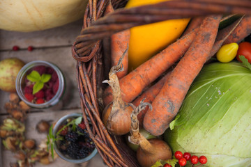 Gemüse frisch von der Ernte