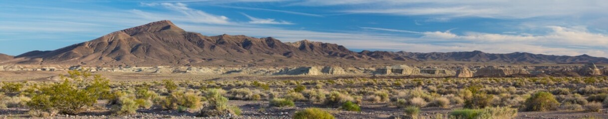 Fototapeta na wymiar Desert Vista