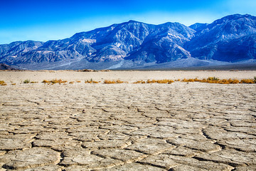 Desert Drought