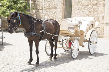 Carriage with the horse