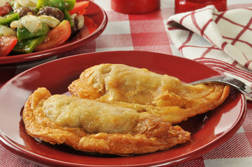 Golden chicken empanadas