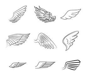 Wings design