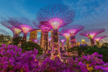 Foto op Plexiglas Singapore Nachtzicht op The Supertree Grove in Gardens by the Bay