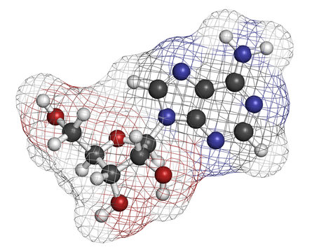 Adenosine (Ado) purine nucleoside molecule. 