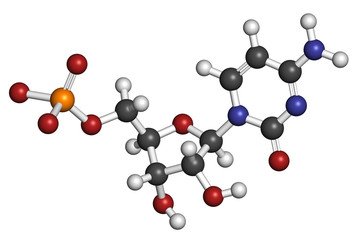 Cytidine monophosphate (CMP, cytidylate) RNA building block