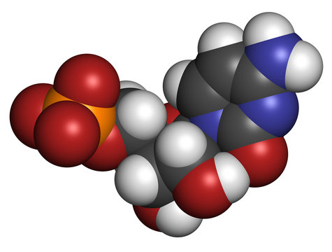 Cytidine Monophosphate (CMP, Cytidylate) RNA Building Block