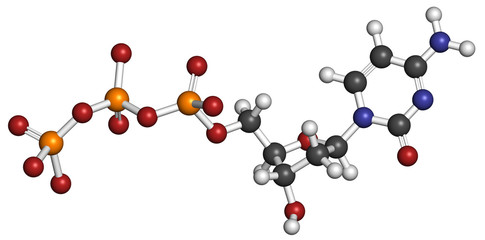 Deoxycytidine triphosphate (dCTP) nucleotide molecule.