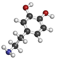 Obraz premium Dopamine neurotransmitter molecule. Catecholamine class compound