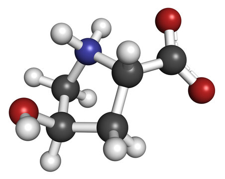 Theobromine (xantheose) chocolate alkaloid molecule.