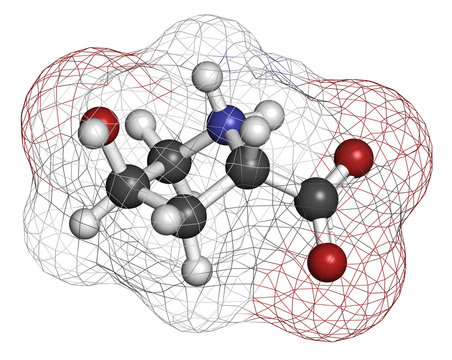 Theobromine (xantheose) chocolate alkaloid molecule.
