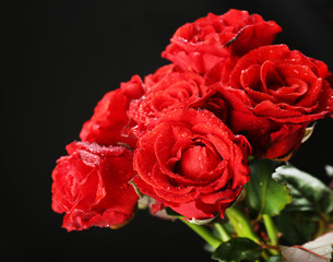 Bouquet of beautiful roses on black background