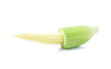 baby corn