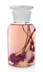 Bottle of herbal tincture on white background isolated