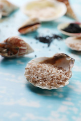 Different sea salt and shells, close up
