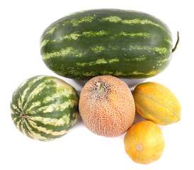 Melons and watermelons isolated on white