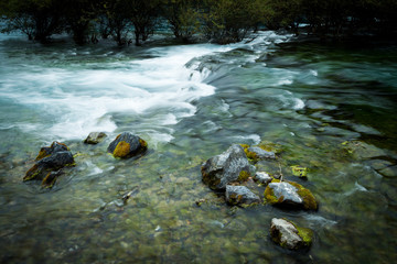 The stream of moss