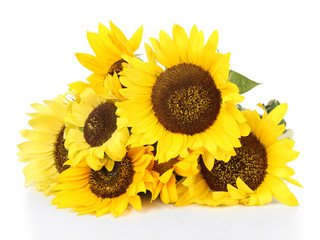 Beautiful bouquet of sunflowers isolated on white