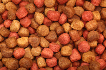 Dog Food