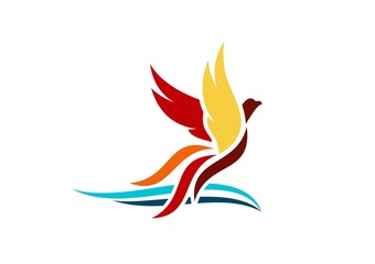 Fototapeta premium bird,logo,phoenix,flying,hawk,eagle,wings,vector