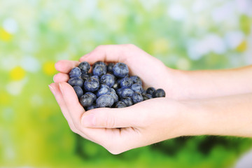 Female hands holding tasty ripe blueberries on nature