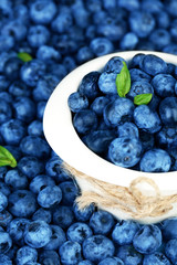 Tasty ripe blueberries in bowl, close up