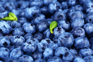 Tasty ripe blueberries, close up