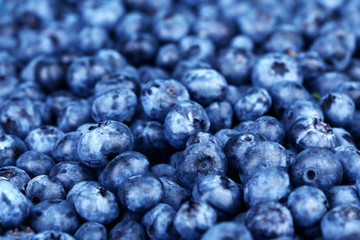 Tasty ripe blueberries, close up