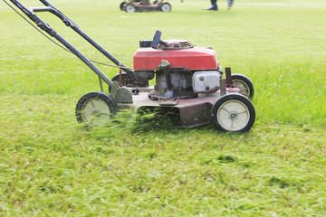 Obraz premium working of lawn mover cutting grass leaves on garden field