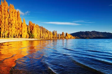 Deurstickers Lake Wanaka, Nieuw-Zeeland © Dmitry Pichugin