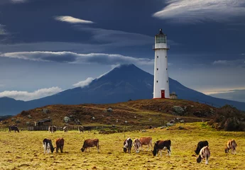 Foto op Aluminium Cape Egmont Lighthouse, Nieuw-Zeeland © Dmitry Pichugin