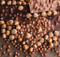 chocolate bars with hazelnuts