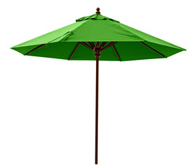 Green beach umbrella